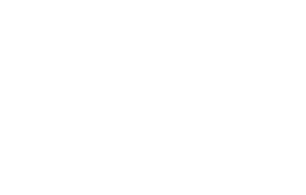 Coachings mit Pferden