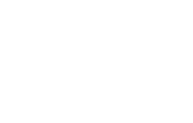 Coachings mit Pferden
